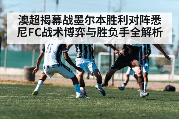 澳超揭幕战墨尔本胜利对阵悉尼FC战术博弈与胜负手全解析 - kaiyun